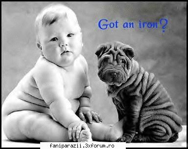 Funny Pictures - zici cas fratzi - Alte discutzii