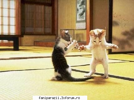 Funny Pictures - ArCaNgEl - Alte discutzii