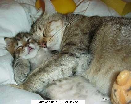 Funny Pictures - faine poze, blonda18 - Alte discutzii