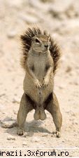 :rotfl: :rotfl: :rotfl: :rotfl: funny pictures
