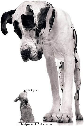 get some attitude.. funny pictures