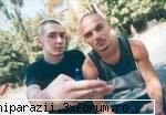 poze vedete - administrator - Muzica